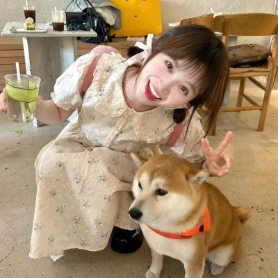 楊八妹招親粤语